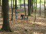 2011-05-07 KPF Wald 04.jpg